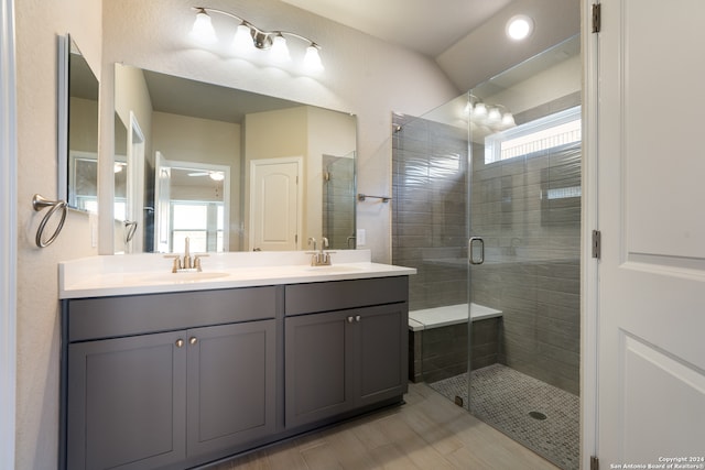 bathroom featuring vanity, plenty of natural light, and a shower with shower door