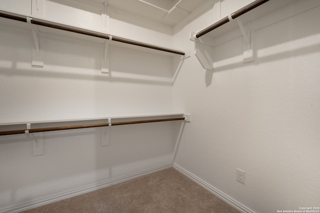 spacious closet featuring carpet flooring