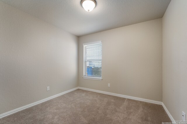 unfurnished room with carpet floors