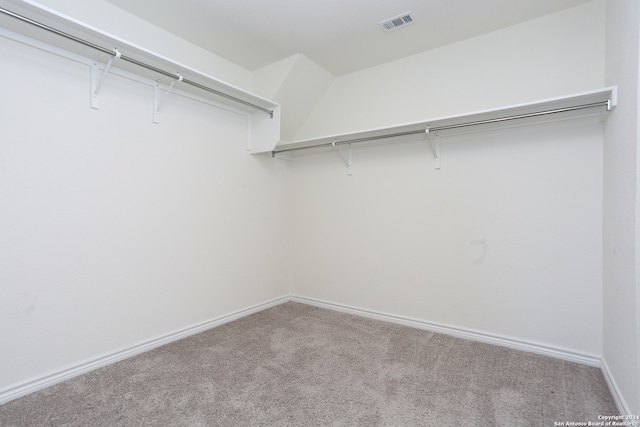 spacious closet with light carpet