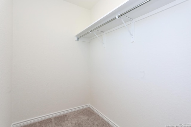 3254 Old Almonte Dr, San Antonio, TX 78224 - spacious closet with carpet flooring