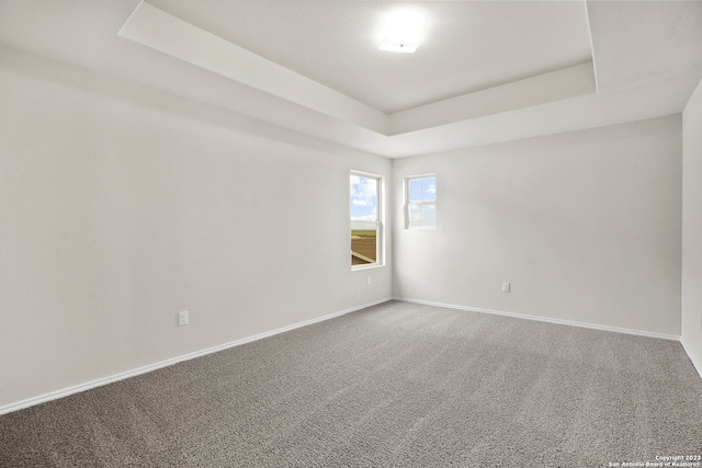 empty room with carpet floors and a tray ceiling