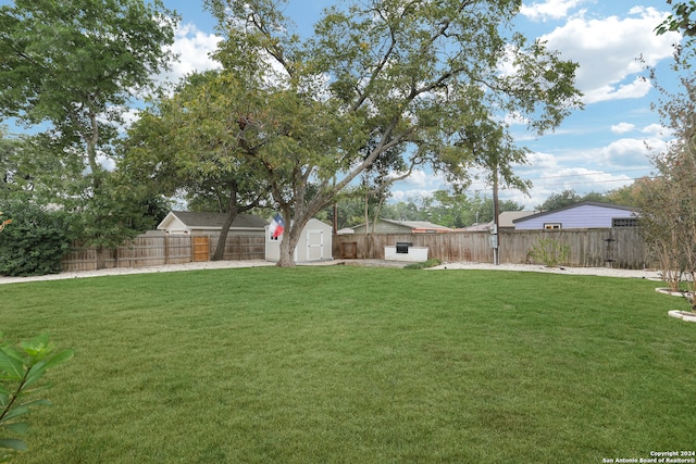 view of yard featuring a storage shed