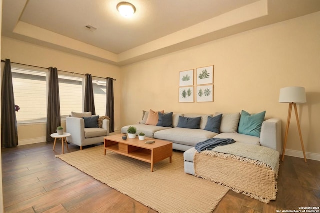 living room with a raised ceiling and wood-type flooring