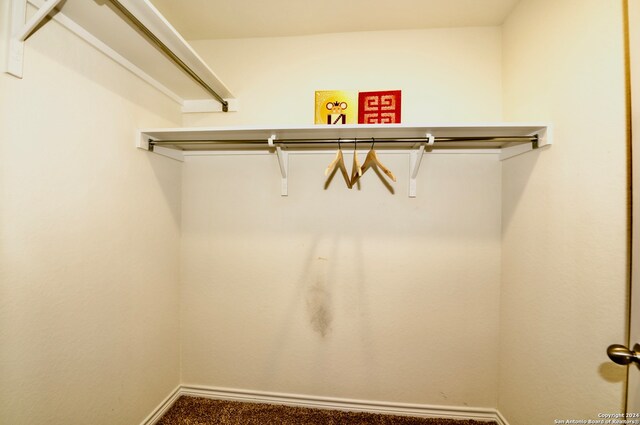 spacious closet featuring dark carpet