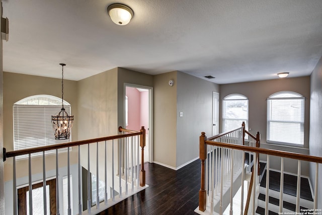 268 Fawn Rdg, Cibolo, TX 78108 - hall with an upstairs landing, hardwood / wood-style flooring, a chandelier, and baseboards