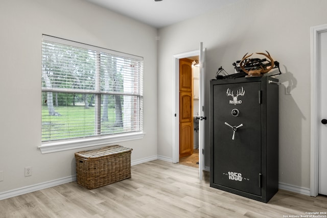 interior space featuring light hardwood / wood-style flooring