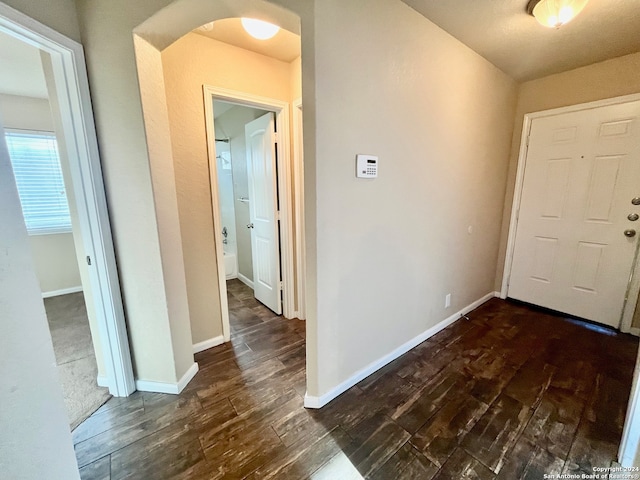 foyer with dark wood-type flooring