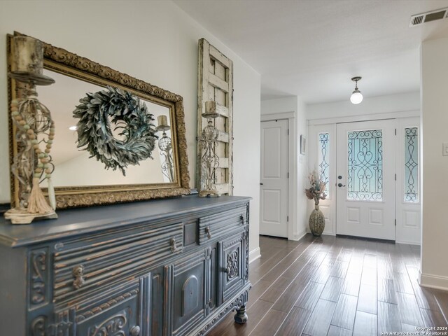 foyer entrance featuring dark wood-type flooring