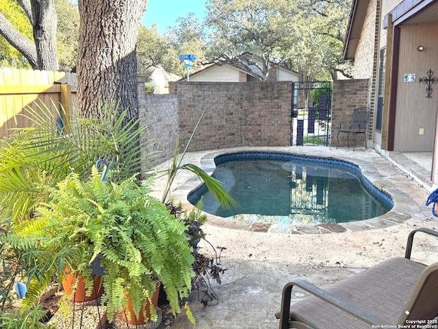 view of pool featuring a fenced backyard and a fenced in pool