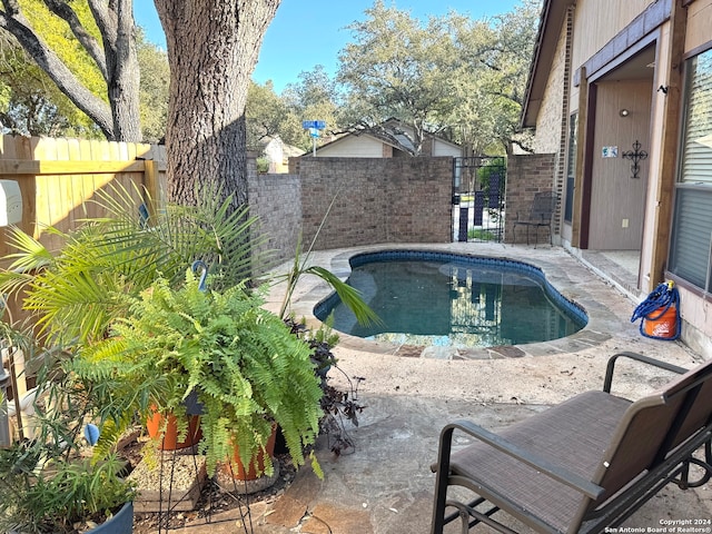 view of swimming pool with a patio area, a fenced backyard, and a fenced in pool