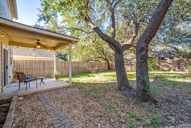 view of yard with ceiling fan and a patio area