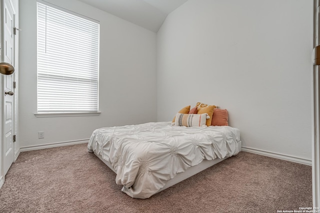 12303 Tower Frst, San Antonio, TX 78253 - bedroom with carpet flooring and lofted ceiling