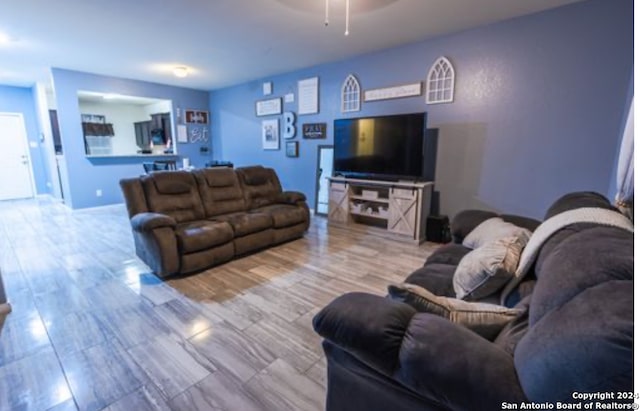 living room featuring wood-type flooring