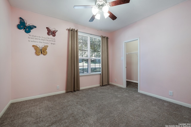 unfurnished bedroom featuring ceiling fan, a walk in closet, carpet floors, and a closet