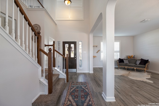 foyer entrance featuring a healthy amount of sunlight, a towering ceiling, and dark wood-type flooring