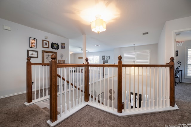 hallway featuring carpet and a wealth of natural light