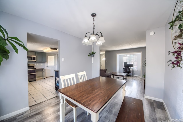 dining room featuring a chandelier and light hardwood / wood-style floors