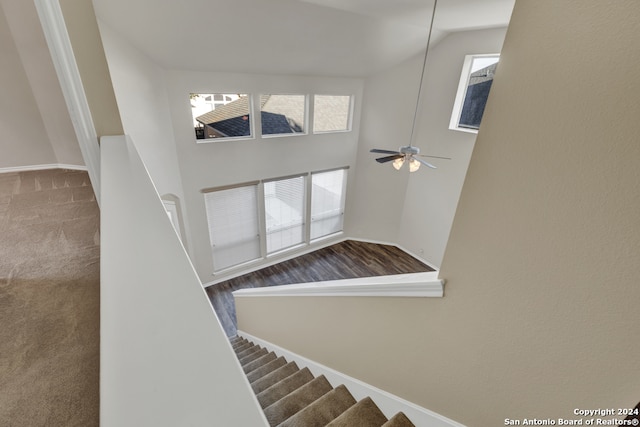 stairs with carpet, ceiling fan, and high vaulted ceiling