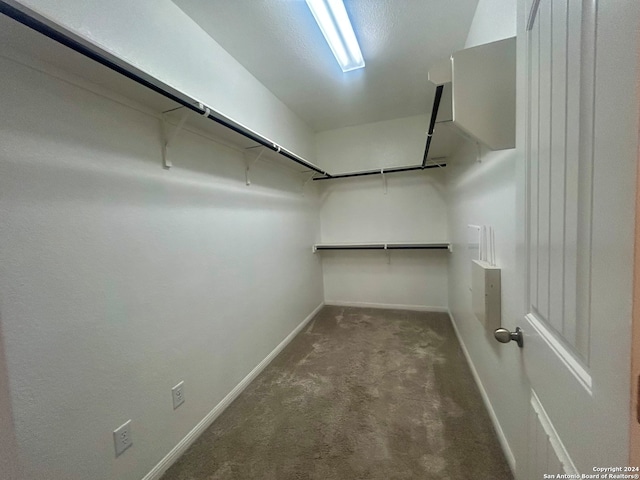 walk in closet featuring carpet floors