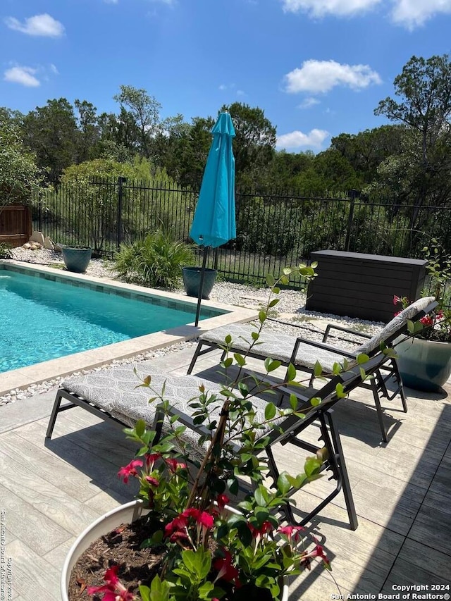 view of swimming pool featuring a patio