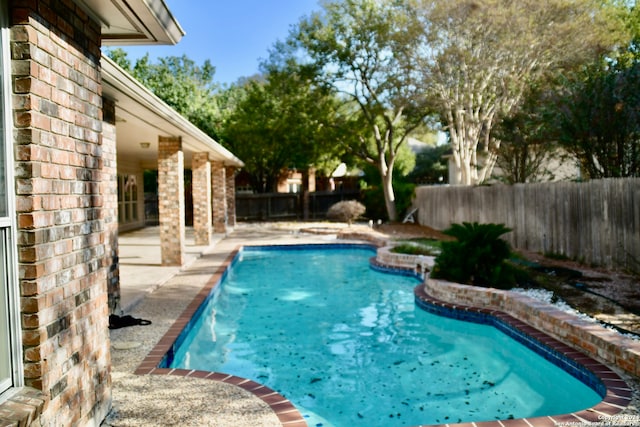 view of pool featuring a patio area