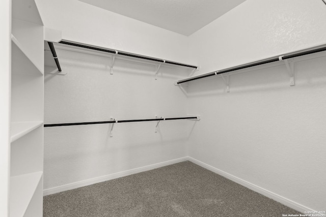 spacious closet with carpet floors