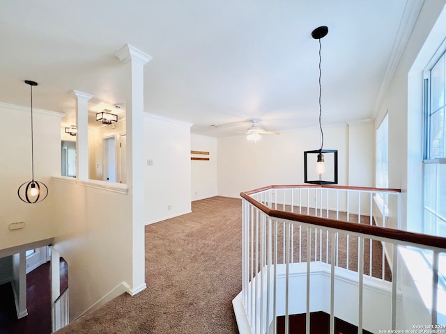 hall featuring crown molding and carpet floors