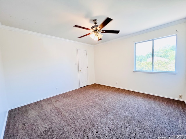 empty room featuring carpet flooring, ceiling fan, and ornamental molding