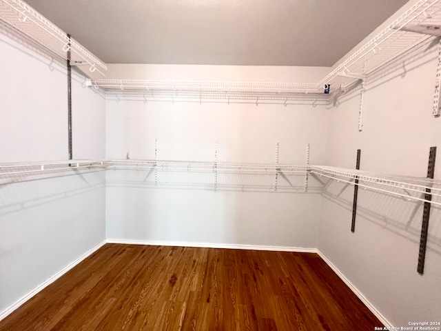 spacious closet featuring dark wood-type flooring