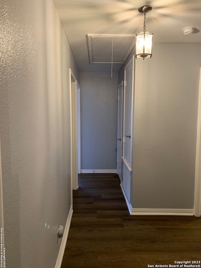 corridor with dark wood-type flooring