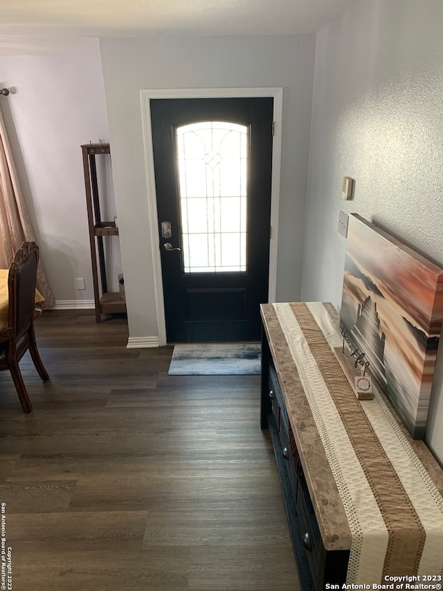 entryway with dark hardwood / wood-style flooring