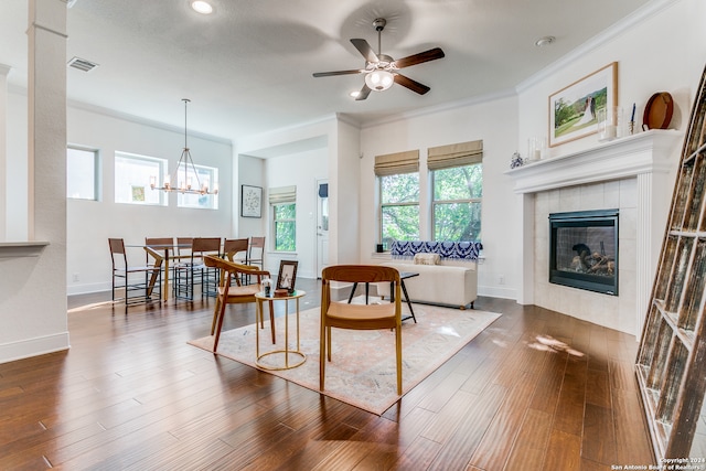 living room featuring a wealth of natural light, a fireplace, and dark wood-type flooring