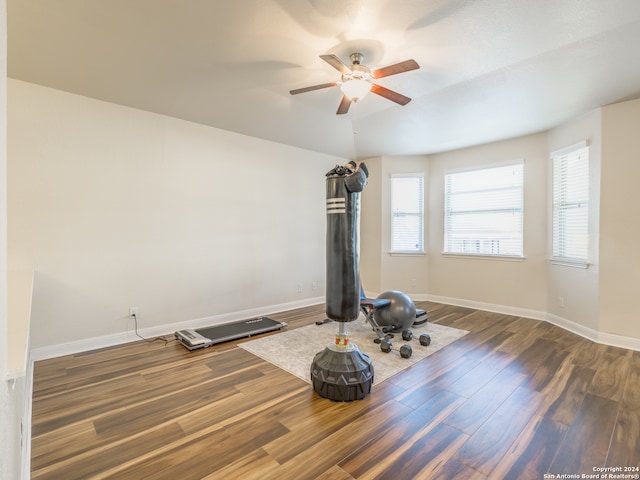 exercise area with ceiling fan, dark hardwood / wood-style flooring, and lofted ceiling