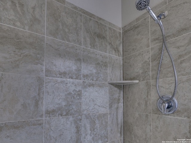 interior details with tiled shower