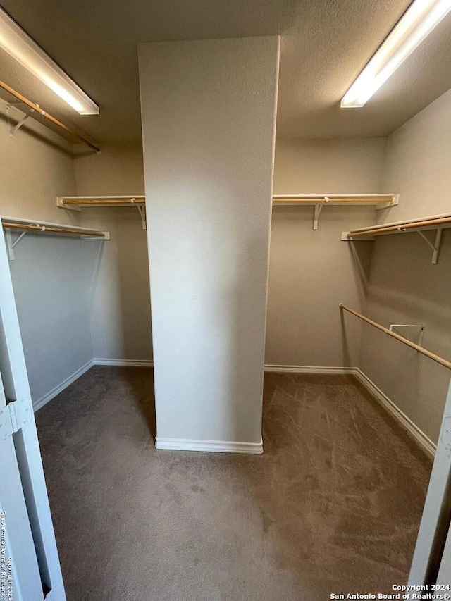 spacious closet featuring dark colored carpet