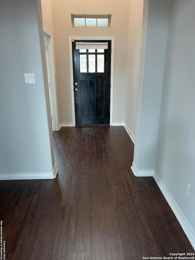 foyer entrance with dark hardwood / wood-style flooring