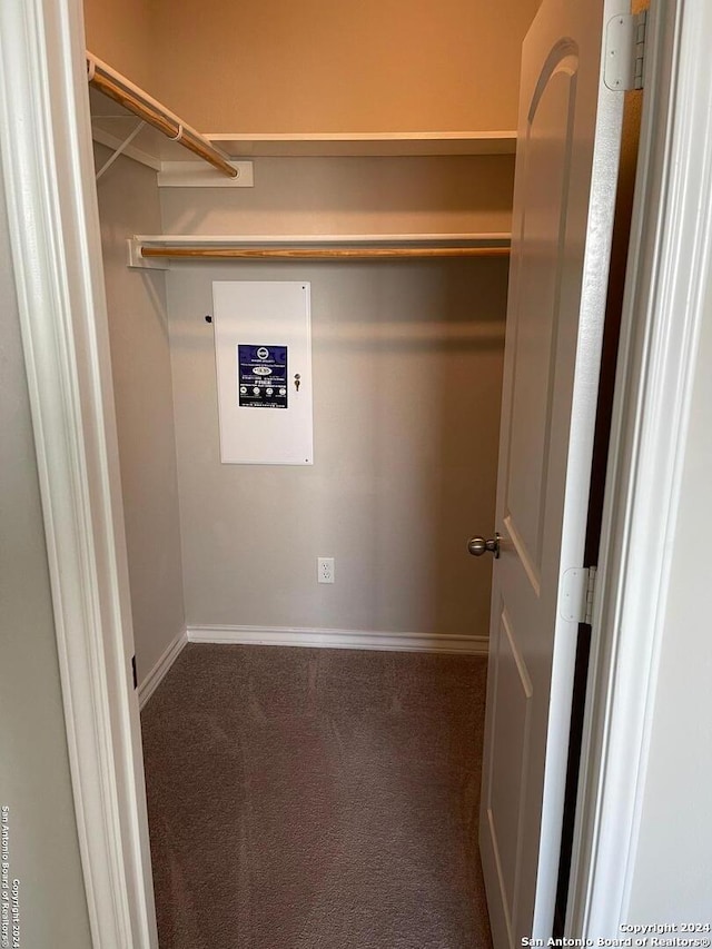 clothes washing area featuring carpet flooring