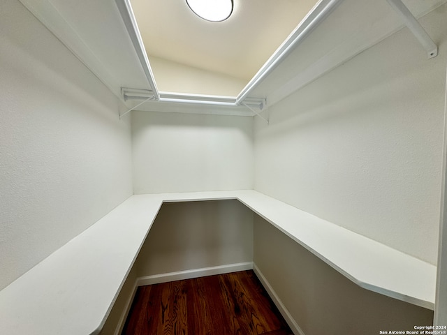 spacious closet featuring dark wood-type flooring