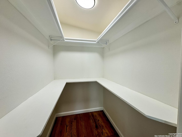 728 Rittiman, Terrell Hills, TX 78209 - walk in closet with dark wood-style floors