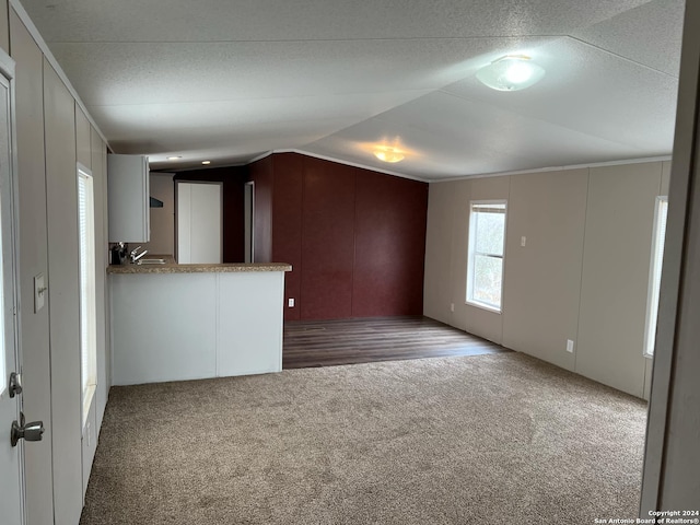 unfurnished living room with dark colored carpet and lofted ceiling