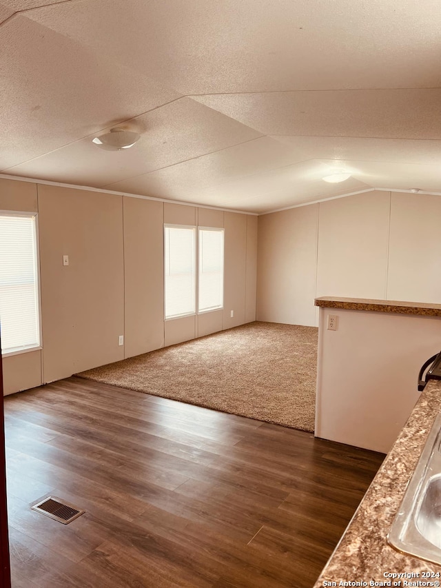 empty room featuring a textured ceiling, vaulted ceiling, dark wood-type flooring, and sink