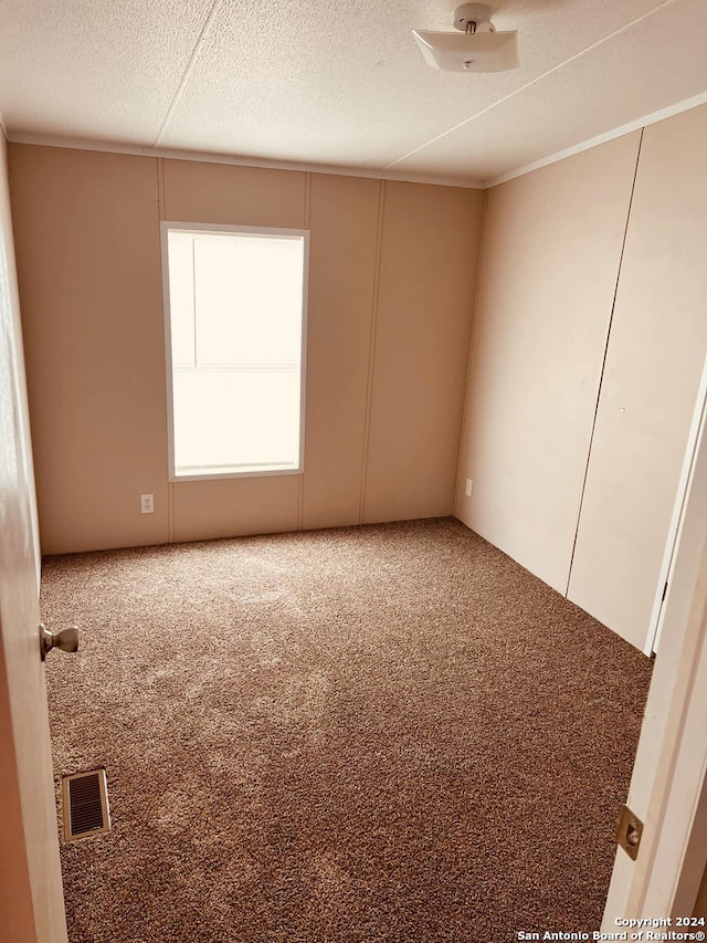 empty room featuring carpet and a textured ceiling