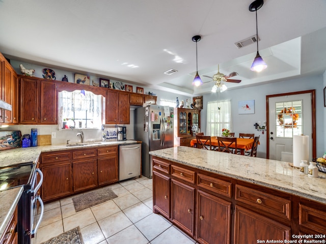 kitchen with a raised ceiling, a wealth of natural light, sink, and stainless steel appliances