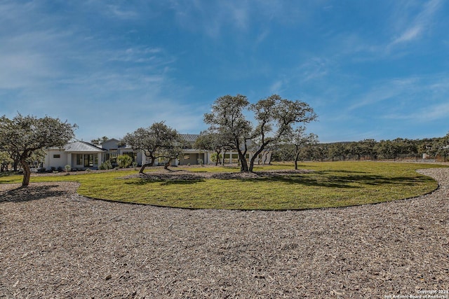 view of community with a lawn