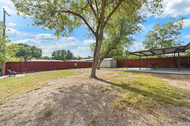 view of yard with a patio area and a storage shed