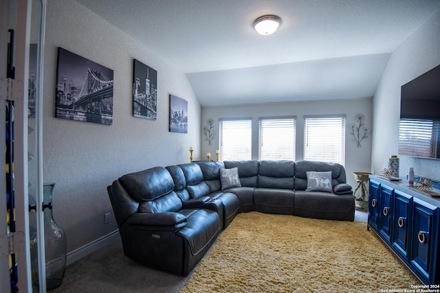 9104 Pepperton Ln, San Antonio, TX 78254 - carpeted living area featuring lofted ceiling, healthy amount of natural light, a textured wall, and baseboards