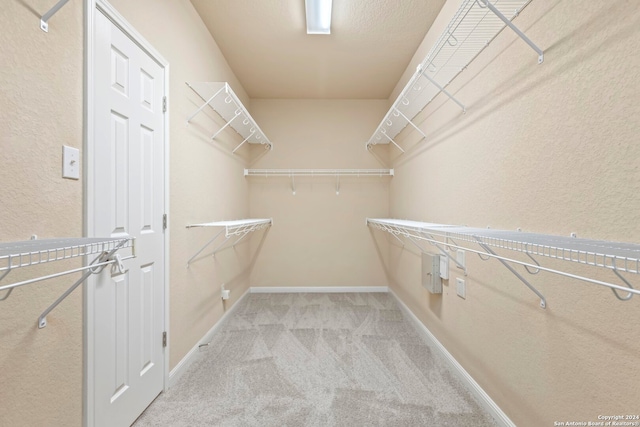 spacious closet featuring light colored carpet