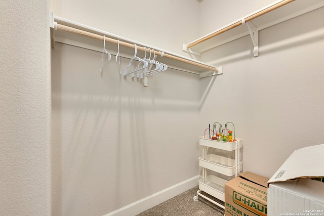 spacious closet featuring carpet flooring