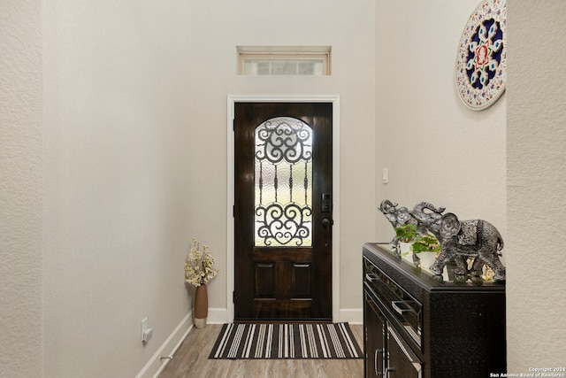 foyer entrance featuring hardwood / wood-style floors